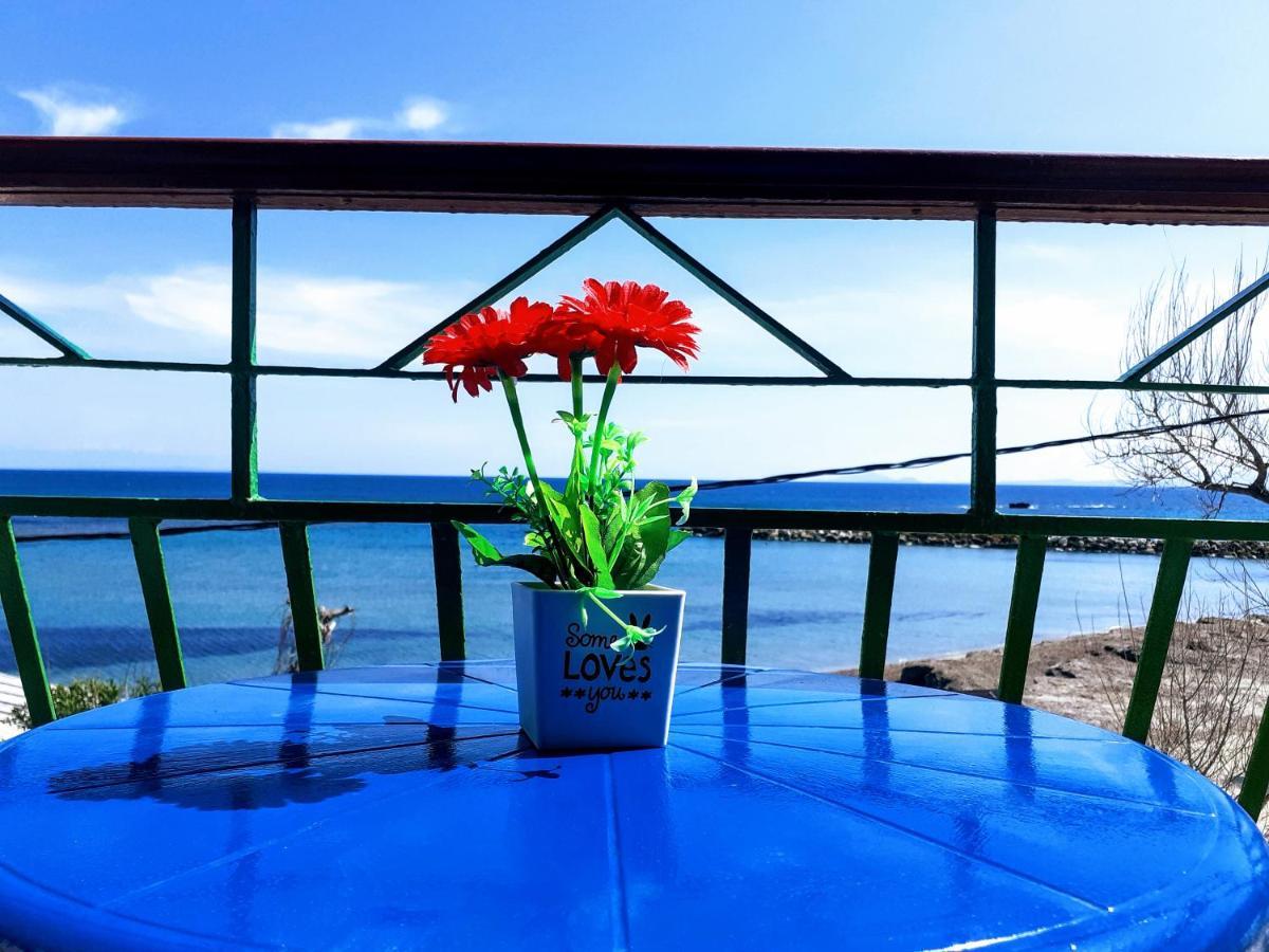 Medusa Apartments Katelios Luaran gambar