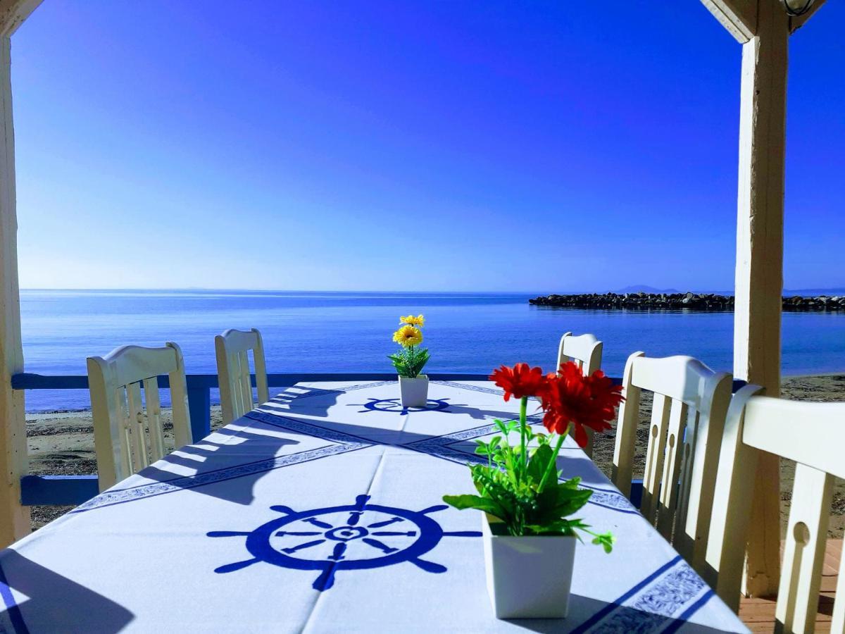 Medusa Apartments Katelios Luaran gambar