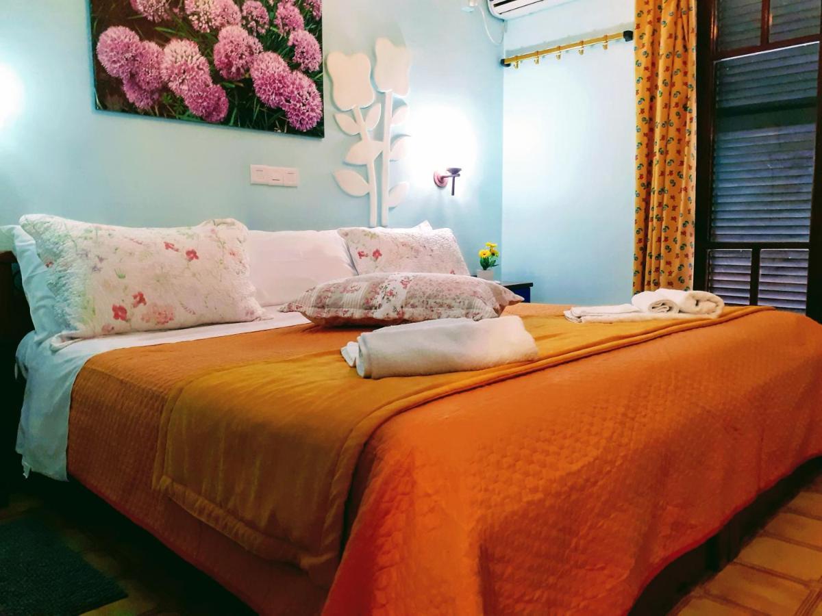 Medusa Apartments Katelios Luaran gambar